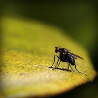 /album/agua-cristal/photolia-a07-jpg/